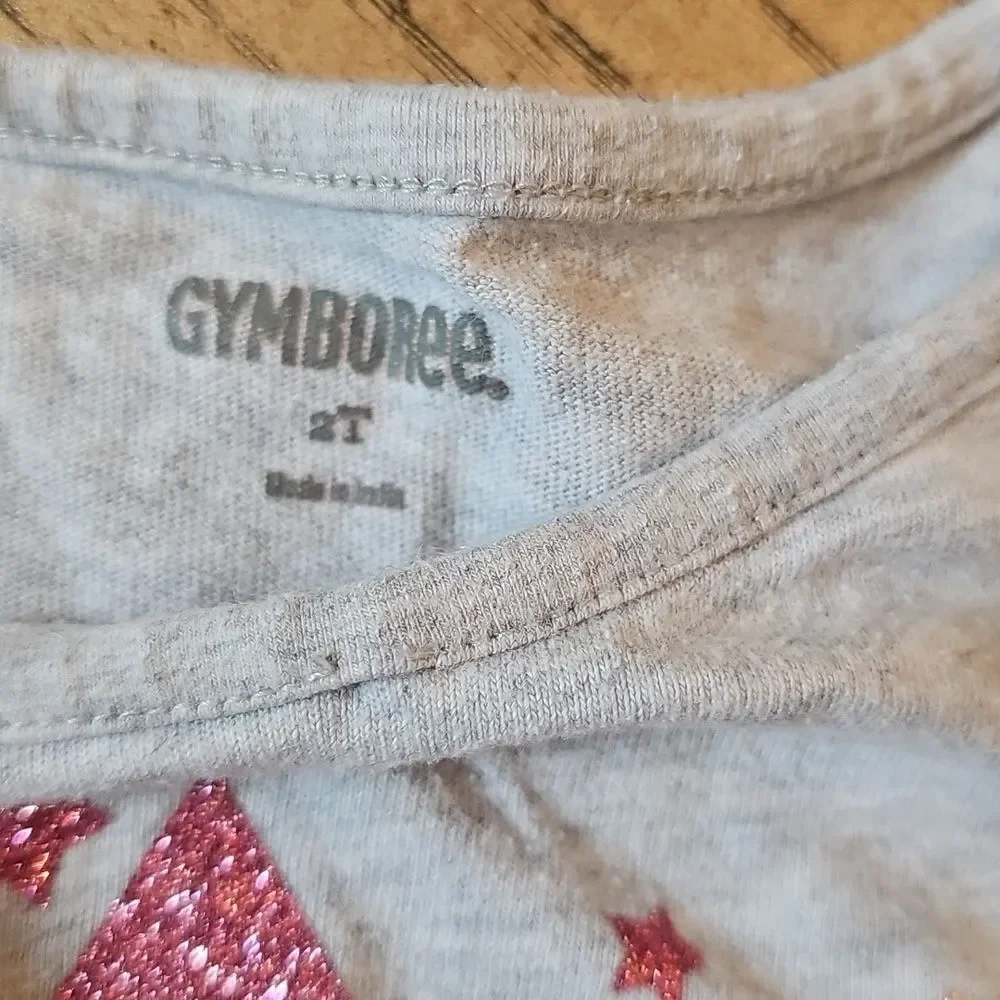 Gymboree Gray Long Sleeve Tee with Pink Star Design 2T